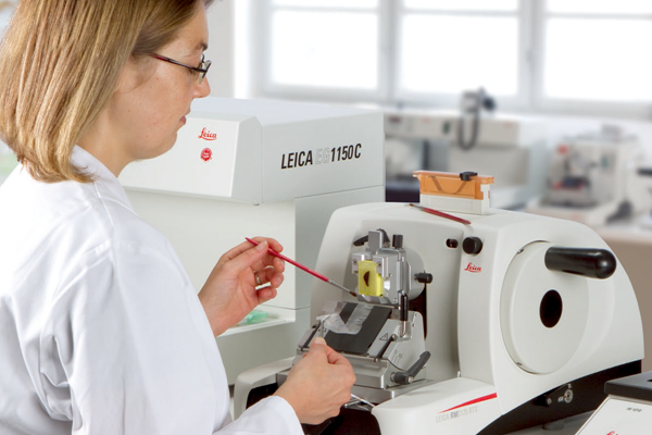 RM2125RTS 手動輪式切片機